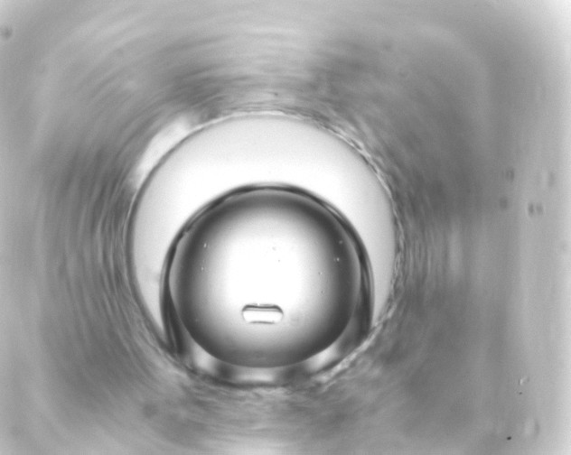 X0000088910099200706221939