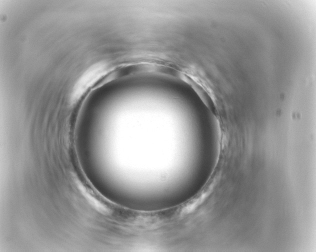 X0000088910101200706221939