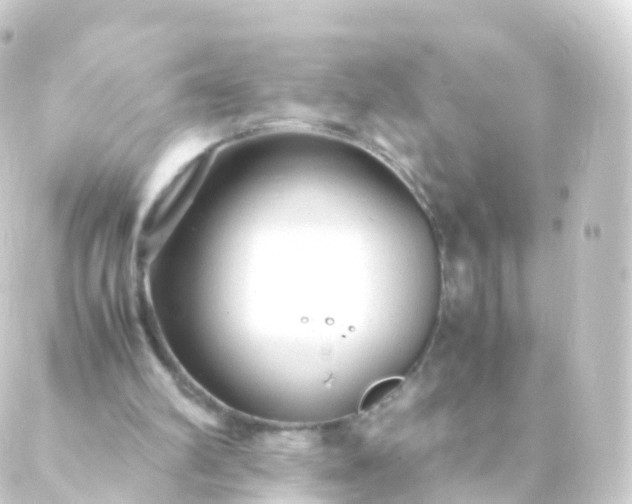 X0000088910102200706221939