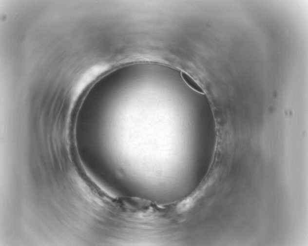 X0000088910104200706221939