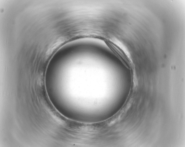 X0000088910105200706221939