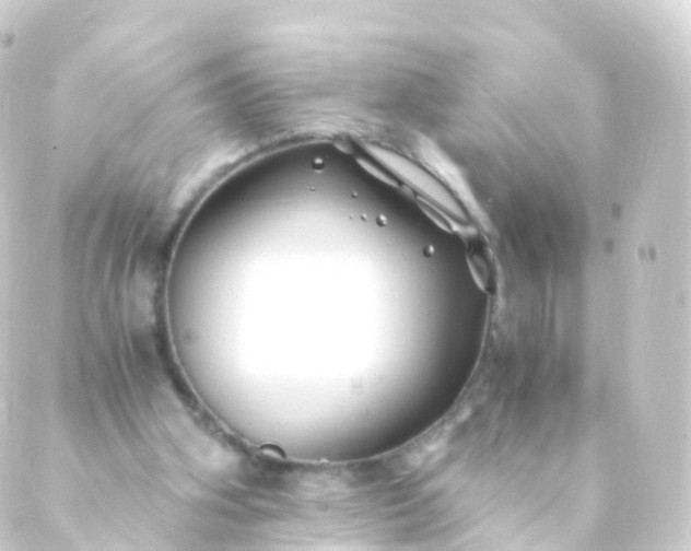 X0000088910106200706221939