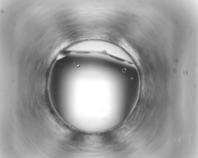 X0000088910107200706221939