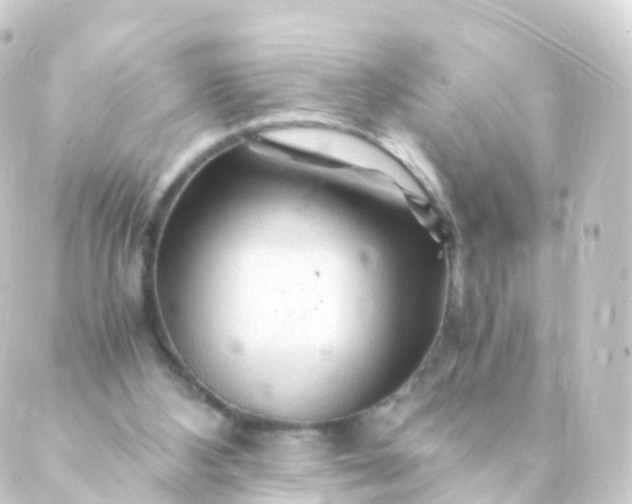 X0000088910108200706221939