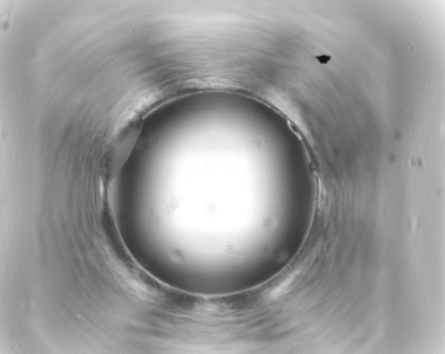 X0000088910109200706221939