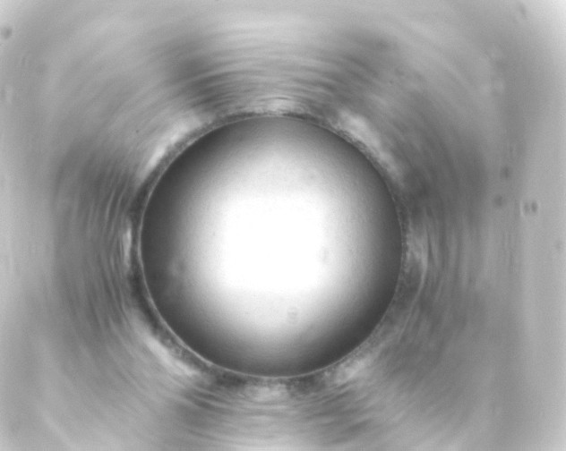 X0000088910110200706221939