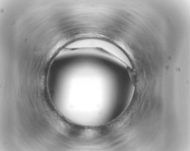 X0000088910111200706221939