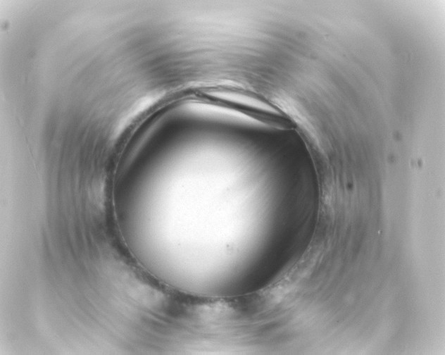 X0000088910112200706221939