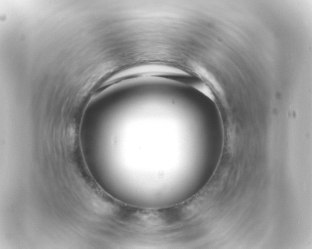 X0000088910113200706221939