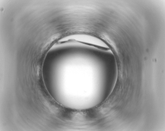 X0000088910115200706221939