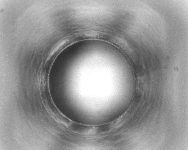 X0000088910116200706221939