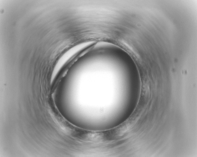 X0000088910117200706221939