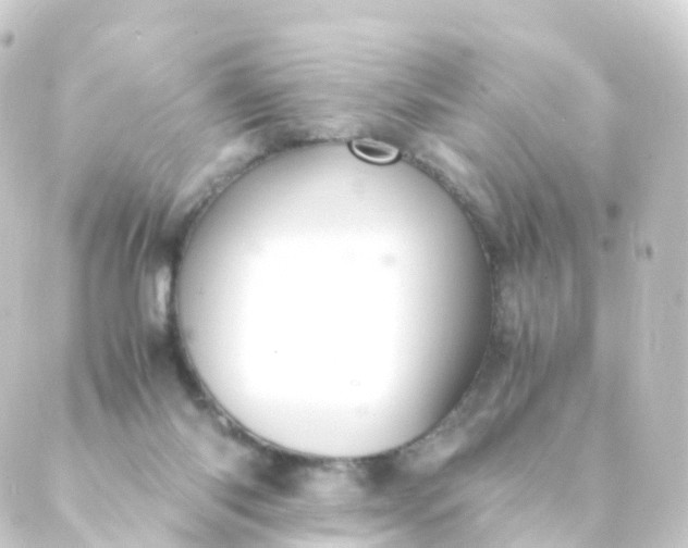 X0000088910118200706221939