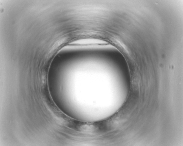 X0000088910119200706221939