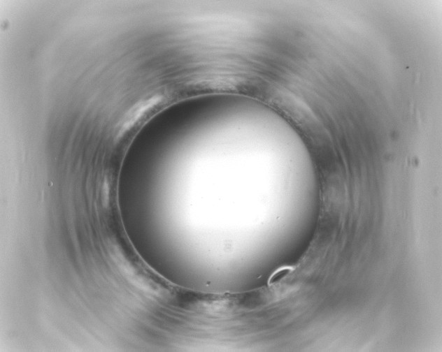 X0000088910120200706221939