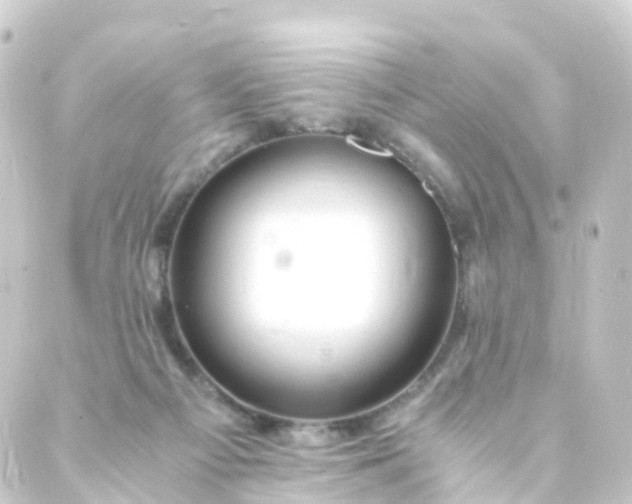 X0000088910121200706221939