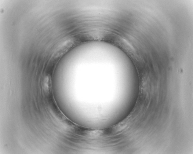 X0000088910122200706221939