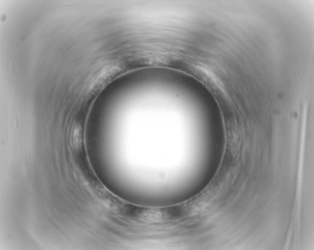 X0000088910123200706221939