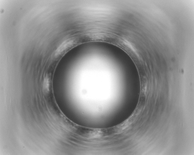 X0000088910124200706221939