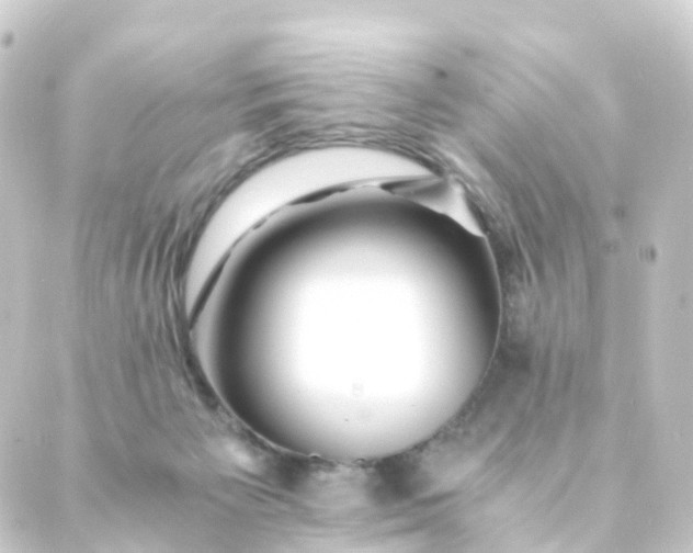 X0000088910125200706221939