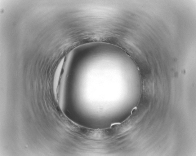 X0000088910127200706221939