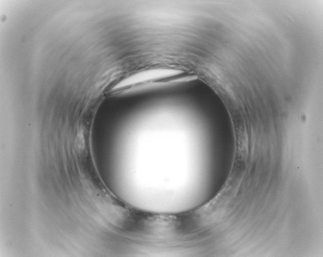 X0000088910128200706221939