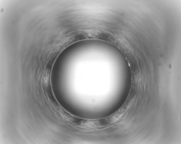 X0000088910129200706221939