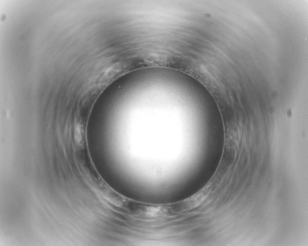 X0000088910130200706221939