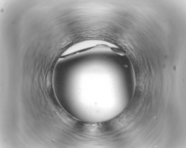 X0000088910131200706221939