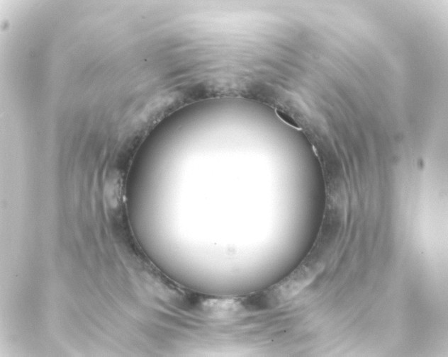 X0000088910133200706221939