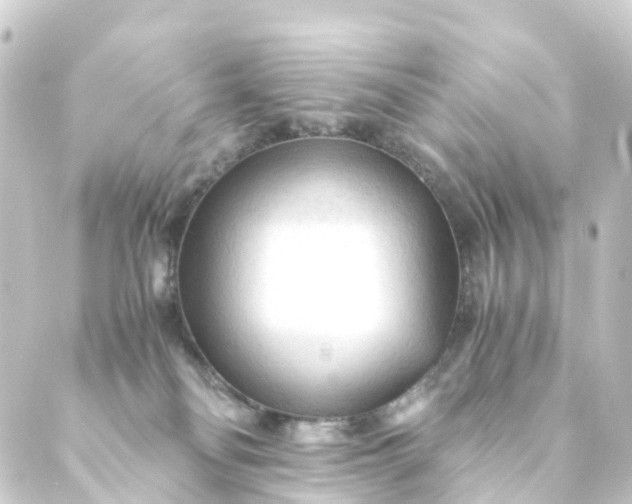 X0000088910134200706221939