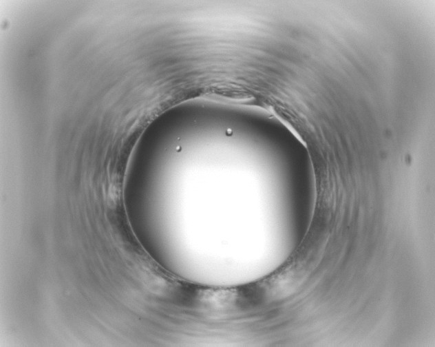 X0000088910135200706221939