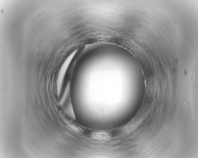 X0000088910137200706221939