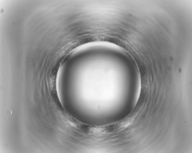 X0000088910139200706221939