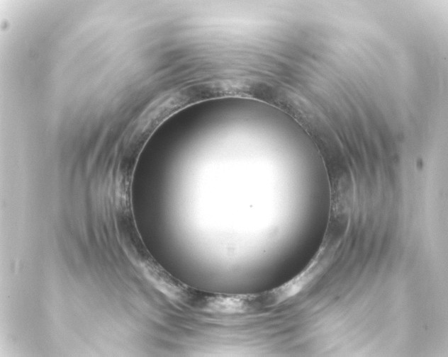 X0000088910140200706221939