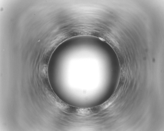 X0000088910141200706221939