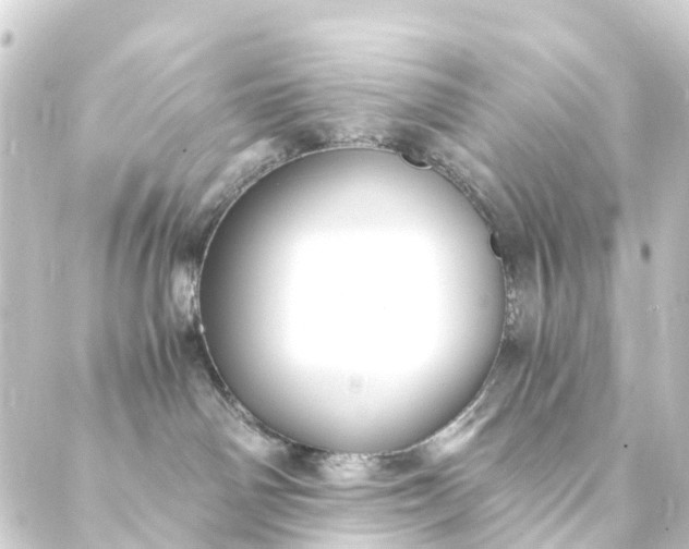 X0000088910142200706221939