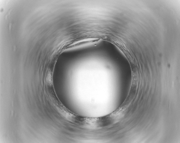 X0000088910143200706221939