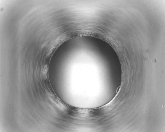 X0000088910144200706221939