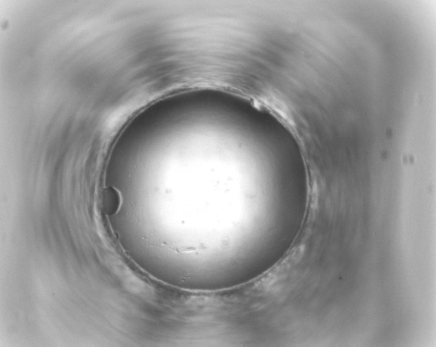 X0000088910145200706221938