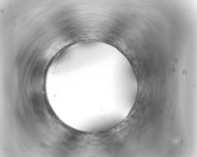 X0000088910146200706221938