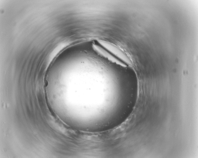 X0000088910147200706221938