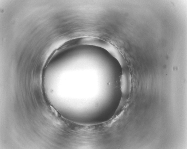 X0000088910148200706221938