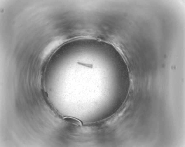 X0000088910149200706221938