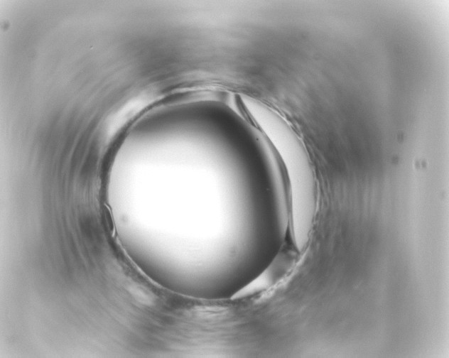 X0000088910150200706221938