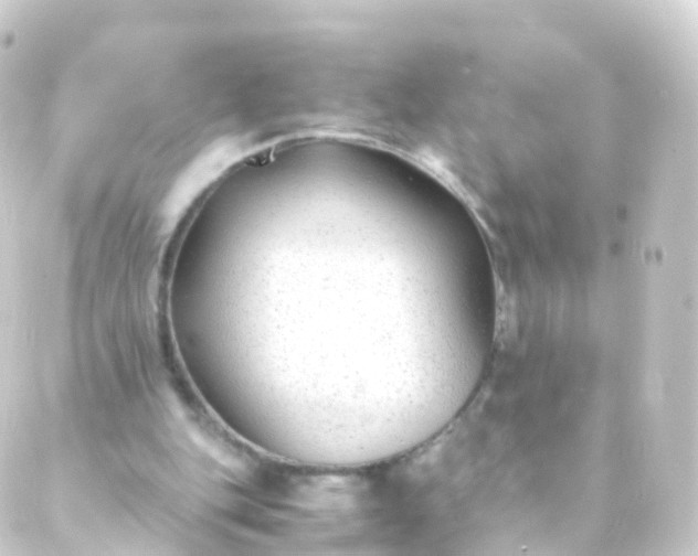 X0000088910151200706221938