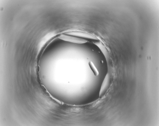 X0000088910152200706221938