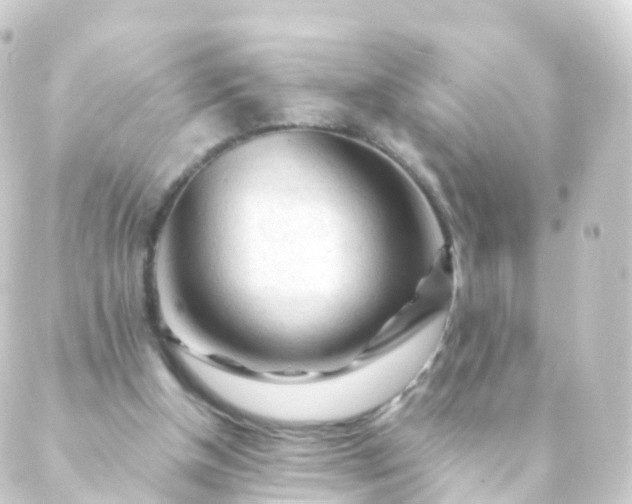 X0000088910154200706221938