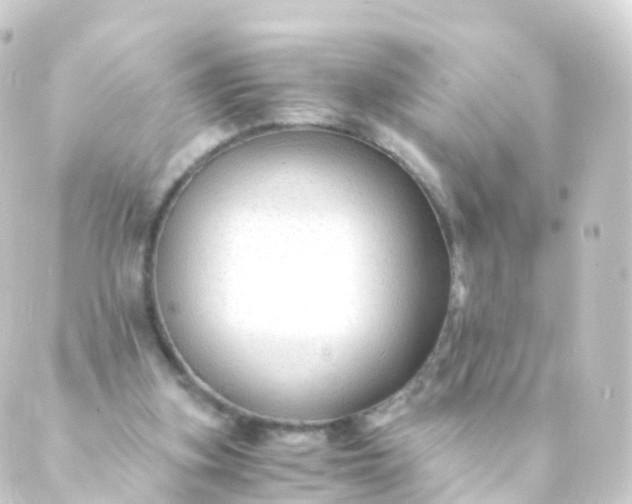 X0000088910155200706221938