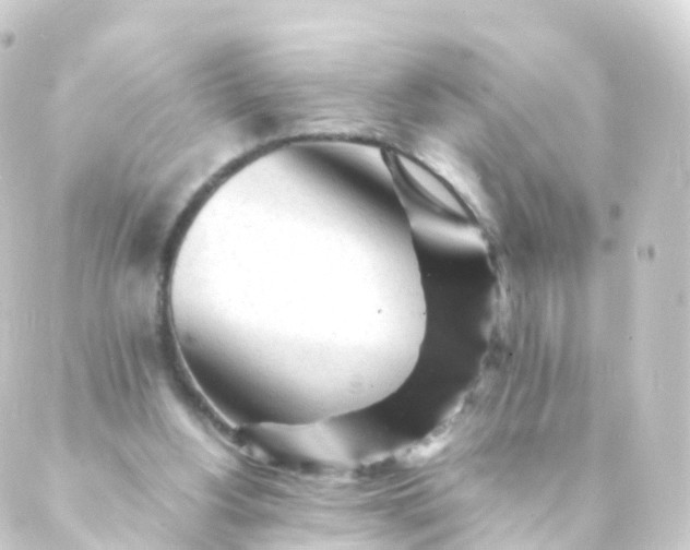 X0000088910156200706221938